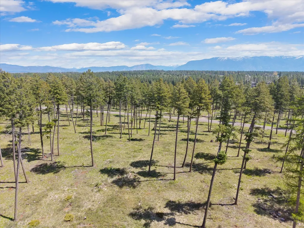 272 Layton Road Whitefish MT 59937