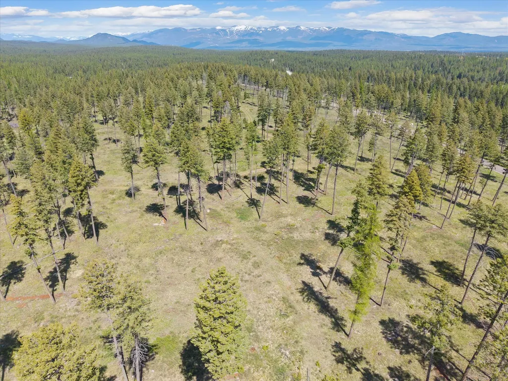 272 Layton Road Whitefish MT 59937