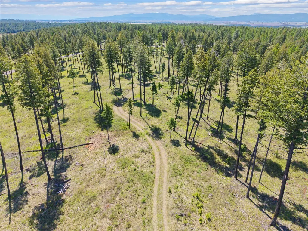272 Layton Road Whitefish MT 59937