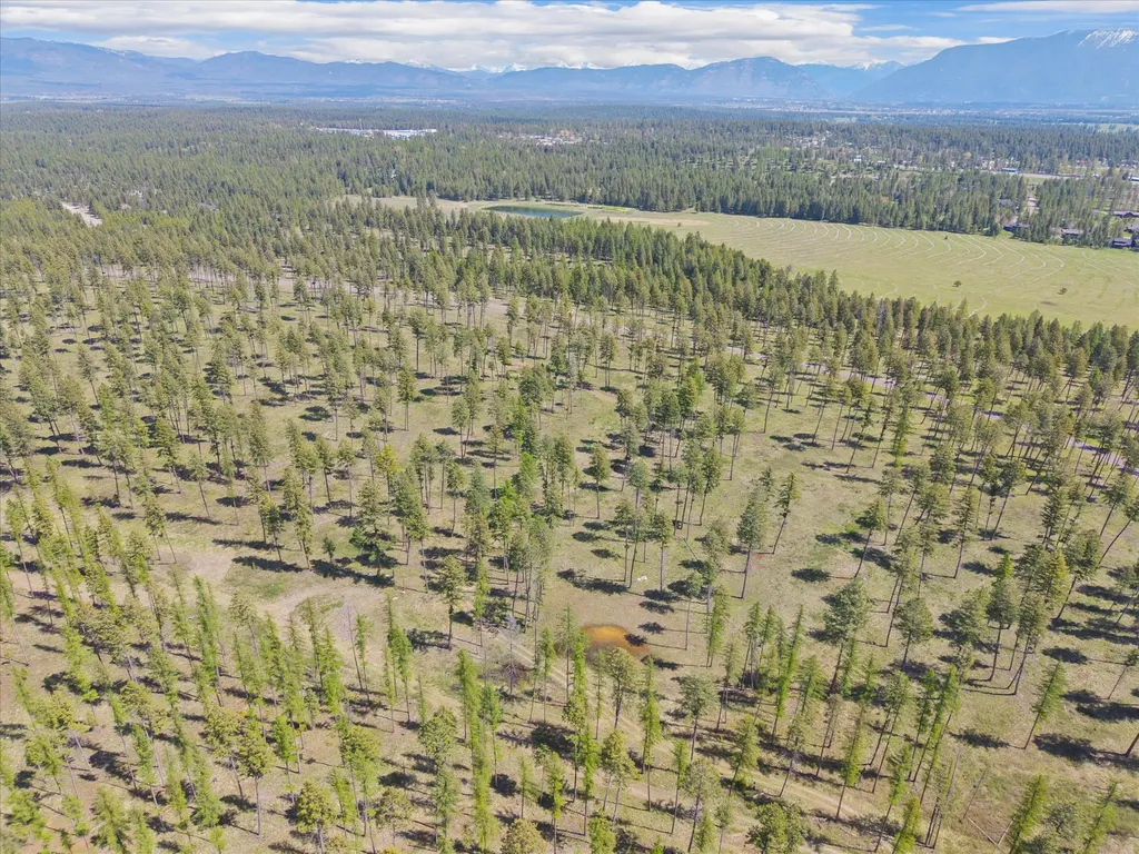 272 Layton Road Whitefish MT 59937