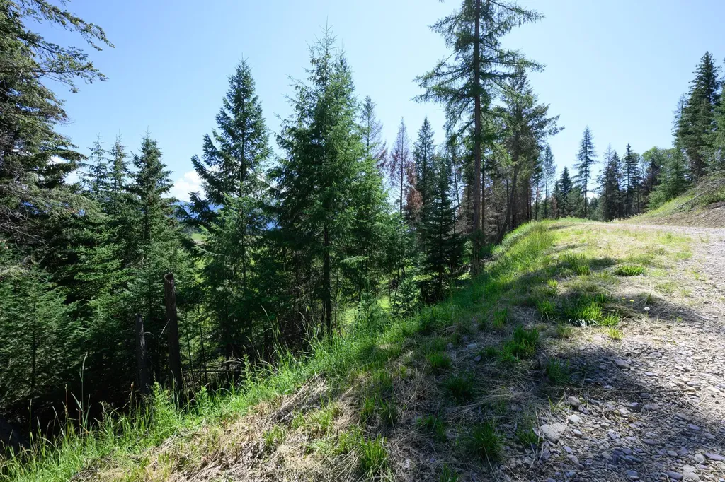 340 Eagle Lake Loop Fortine MT 59918