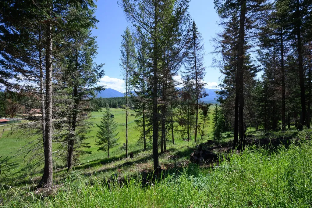 340 Eagle Lake Loop Fortine MT 59918