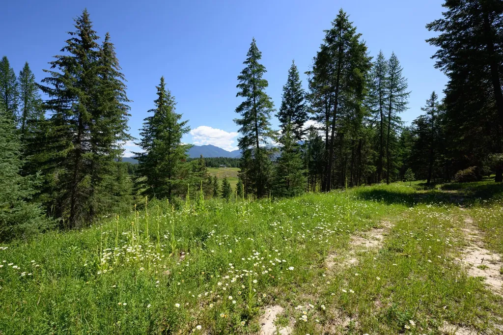 340 Eagle Lake Loop Fortine MT 59918