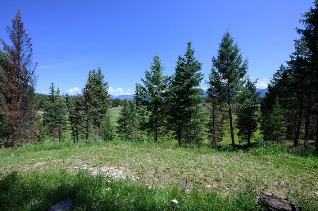 340 Eagle Lake Loop Fortine MT 59918