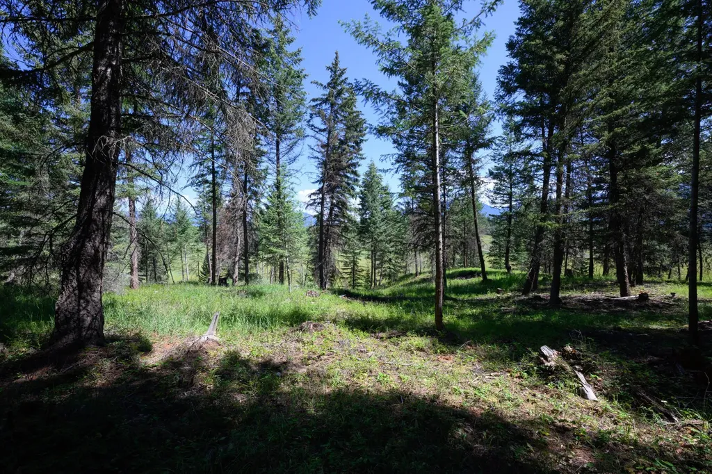 340 Eagle Lake Loop Fortine MT 59918