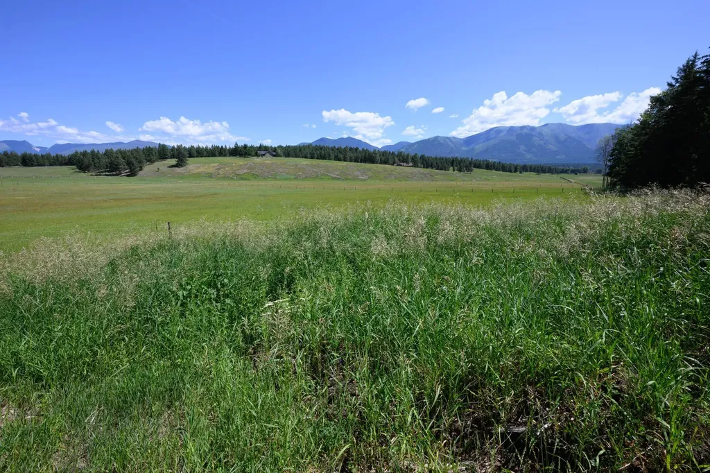 340 Eagle Lake Loop Fortine MT 59918