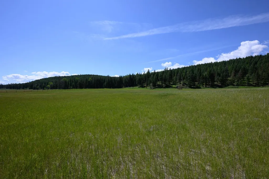 340 Eagle Lake Loop Fortine MT 59918