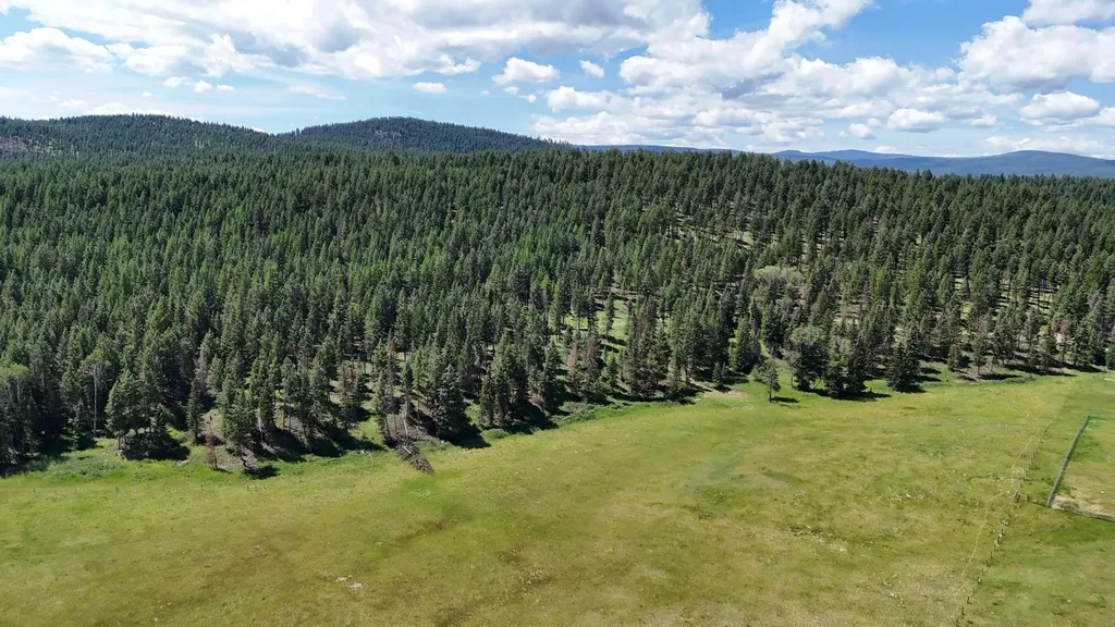340 Eagle Lake Loop Fortine MT 59918