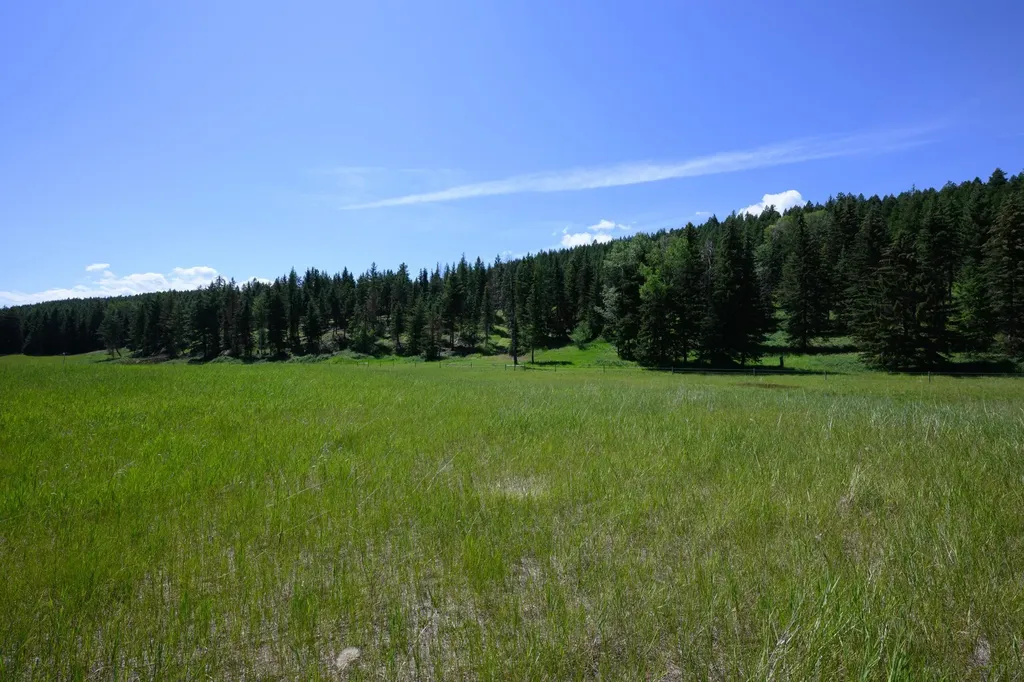 340 Eagle Lake Loop Fortine MT 59918