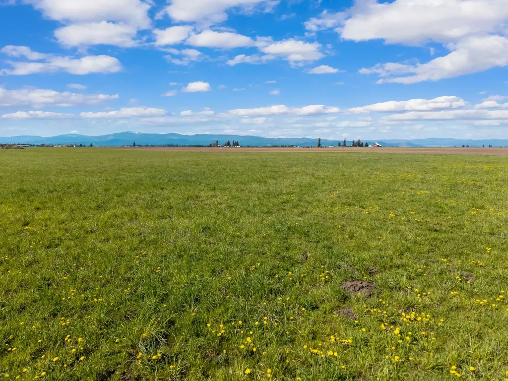 1128 Tree Farm Road Kalispell MT 59901