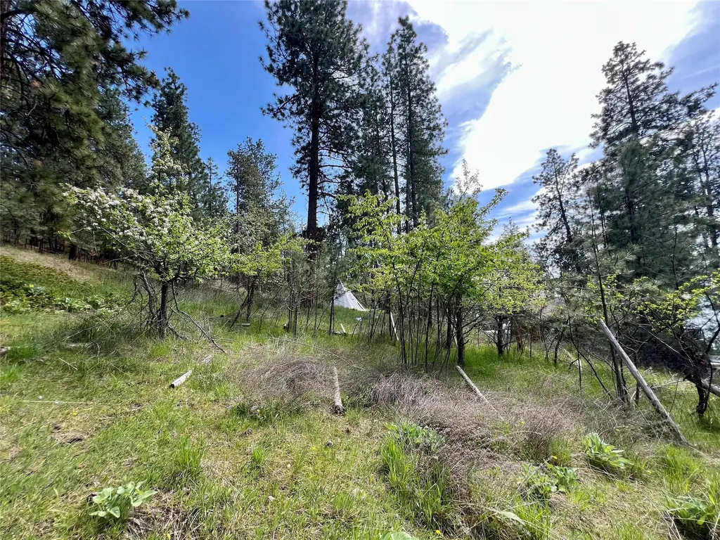 32872 S Finley Point Road Polson MT 59860