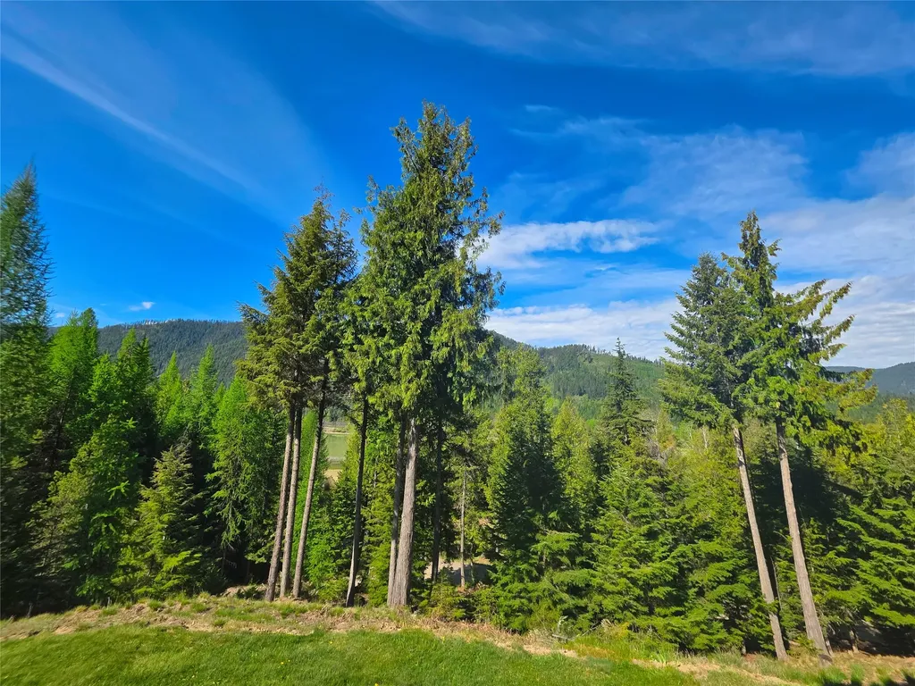 719 Doonan Mountain Road Troy MT 59935