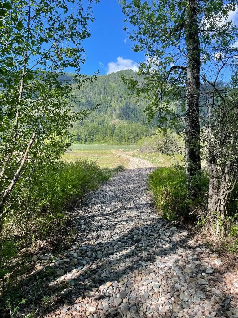 719 Doonan Mountain Road Troy MT 59935