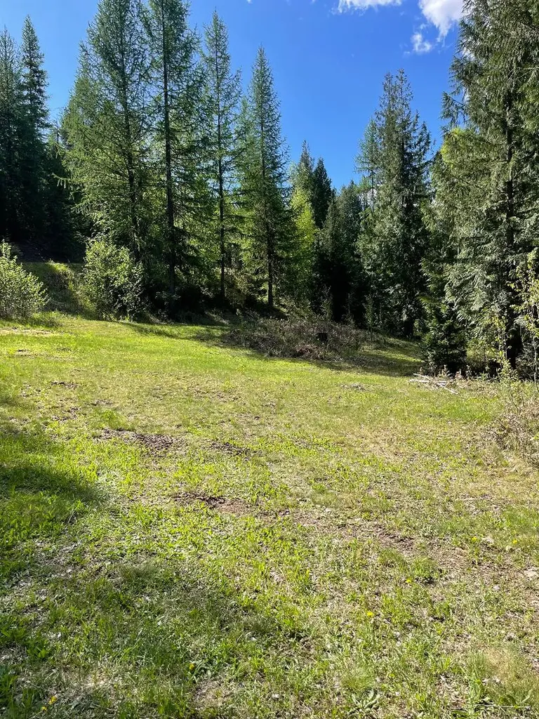 719 Doonan Mountain Road Troy MT 59935