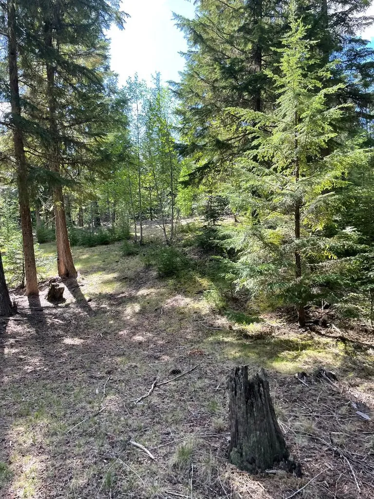 719 Doonan Mountain Road Troy MT 59935