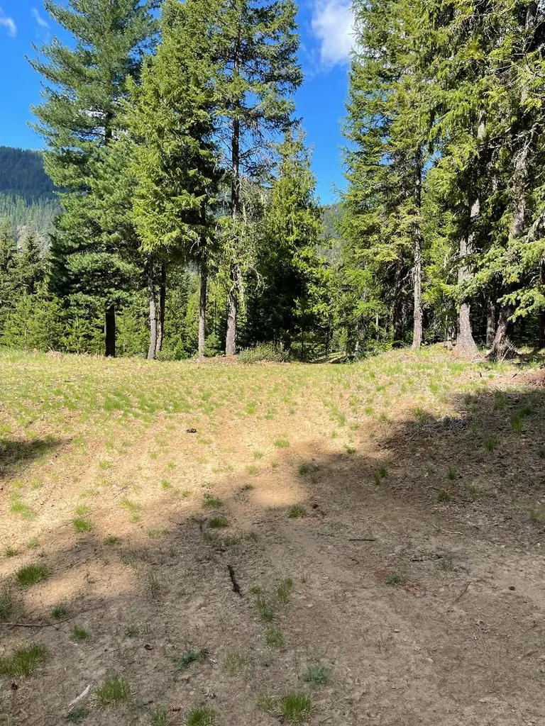 719 Doonan Mountain Road Troy MT 59935