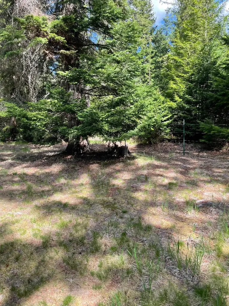 719 Doonan Mountain Road Troy MT 59935