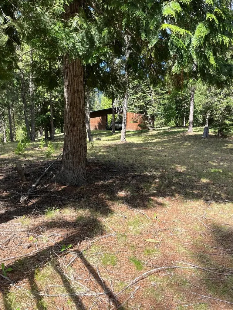 719 Doonan Mountain Road Troy MT 59935