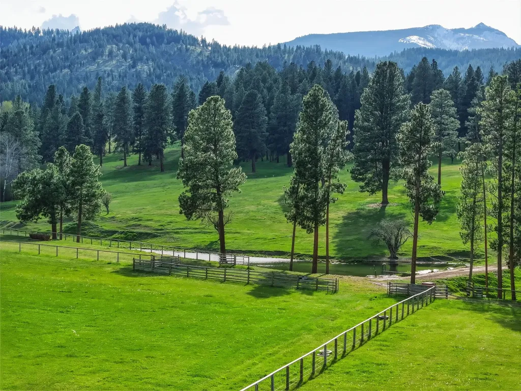 241 Orr Loop Darby MT 59829