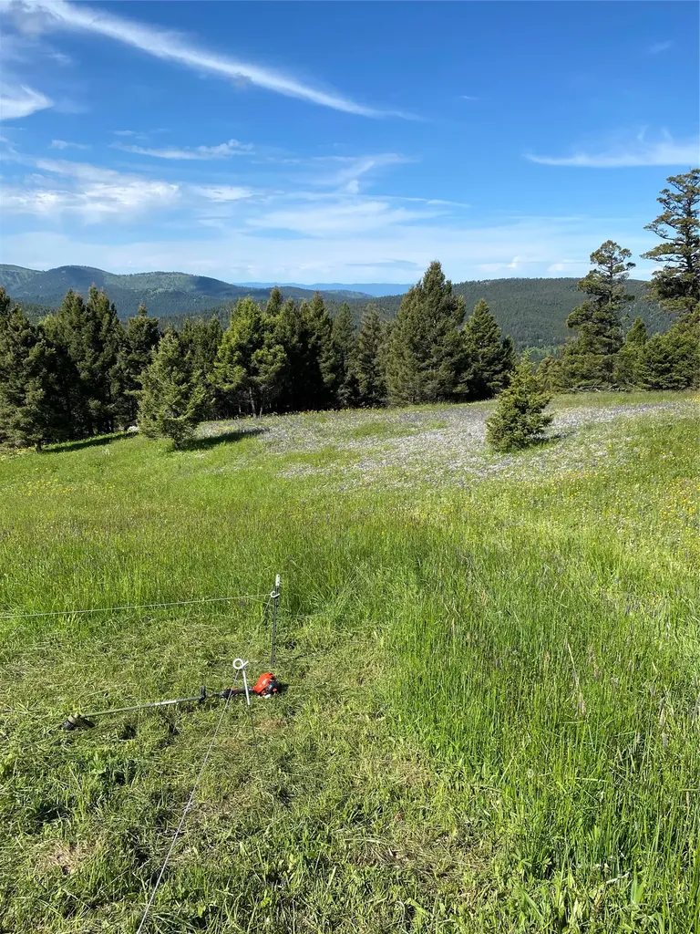 1617 Westridge Road Helmville MT 59843