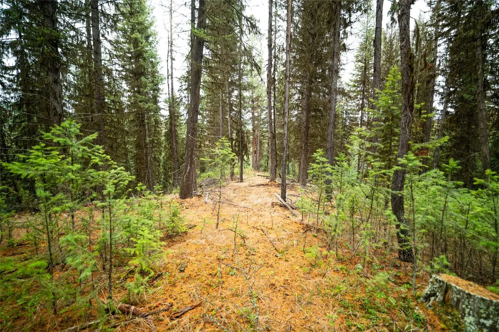 1875 Lower Lost Prairie Road Marion MT 59925