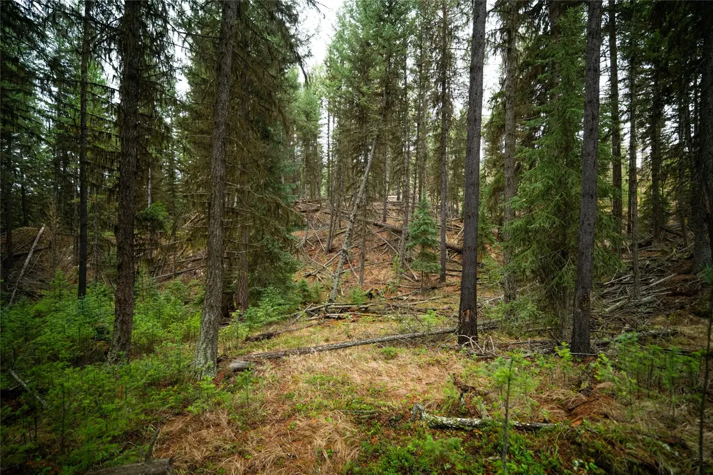 1875 Lower Lost Prairie Road Marion MT 59925