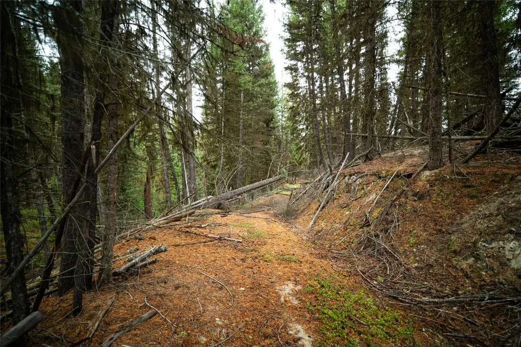 1875 Lower Lost Prairie Road Marion MT 59925