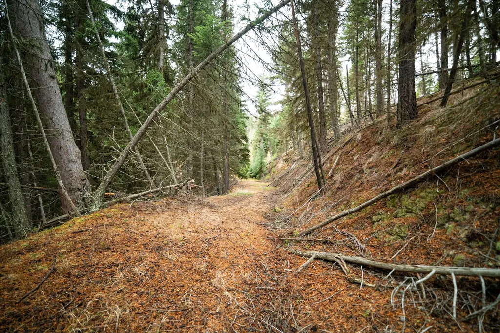 1875 Lower Lost Prairie Road Marion MT 59925
