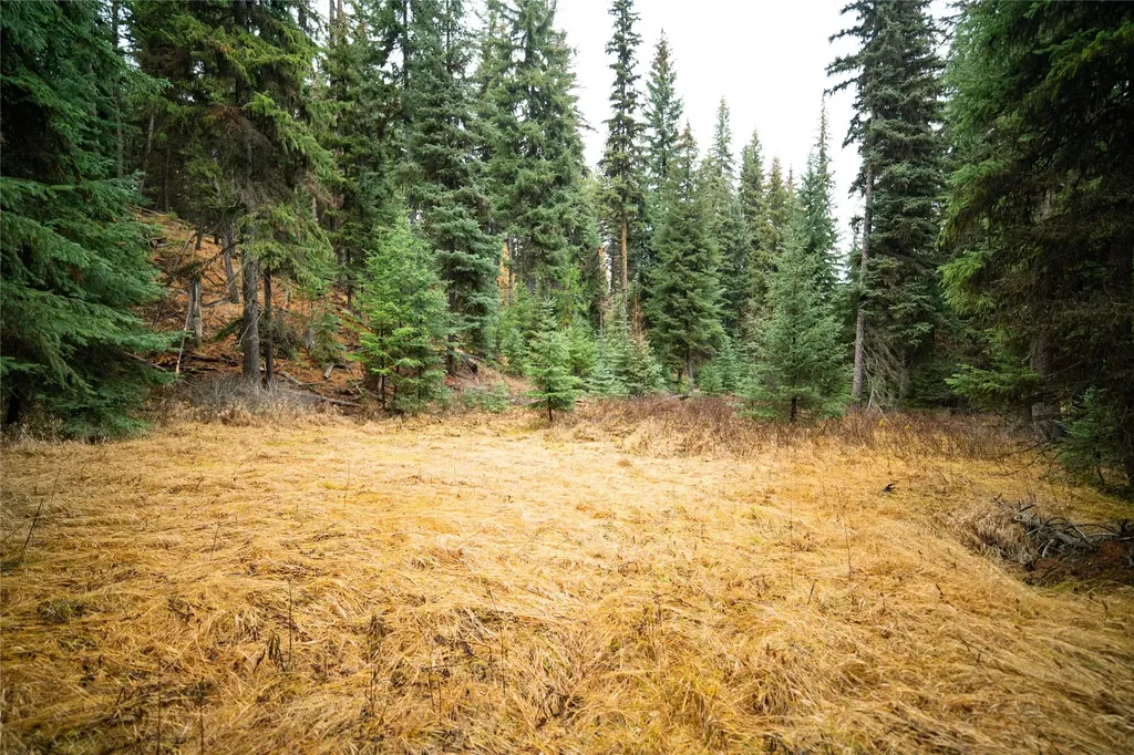 1875 Lower Lost Prairie Road Marion MT 59925
