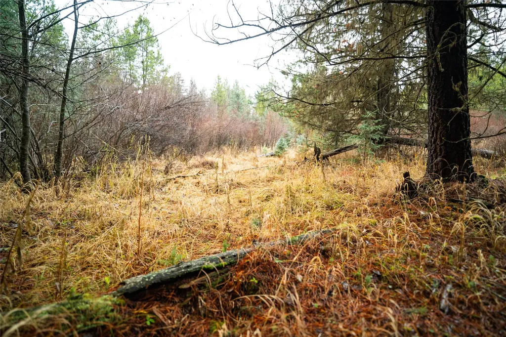1875 Lower Lost Prairie Road Marion MT 59925