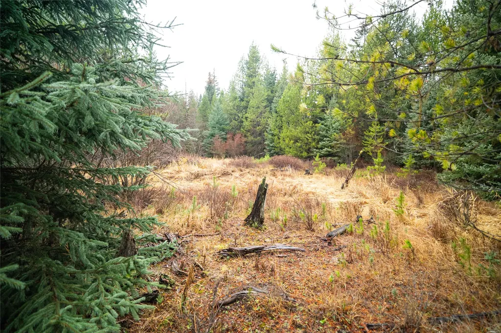 1875 Lower Lost Prairie Road Marion MT 59925