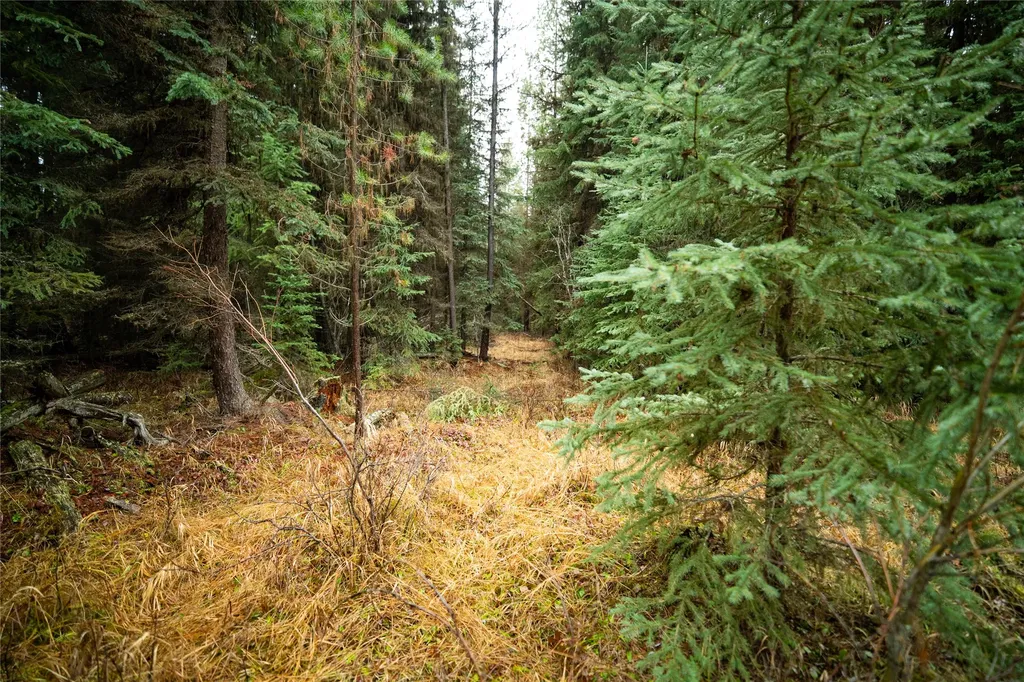 1875 Lower Lost Prairie Road Marion MT 59925