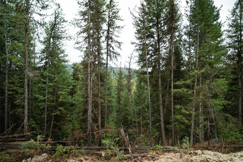 1875 Lower Lost Prairie Road Marion MT 59925