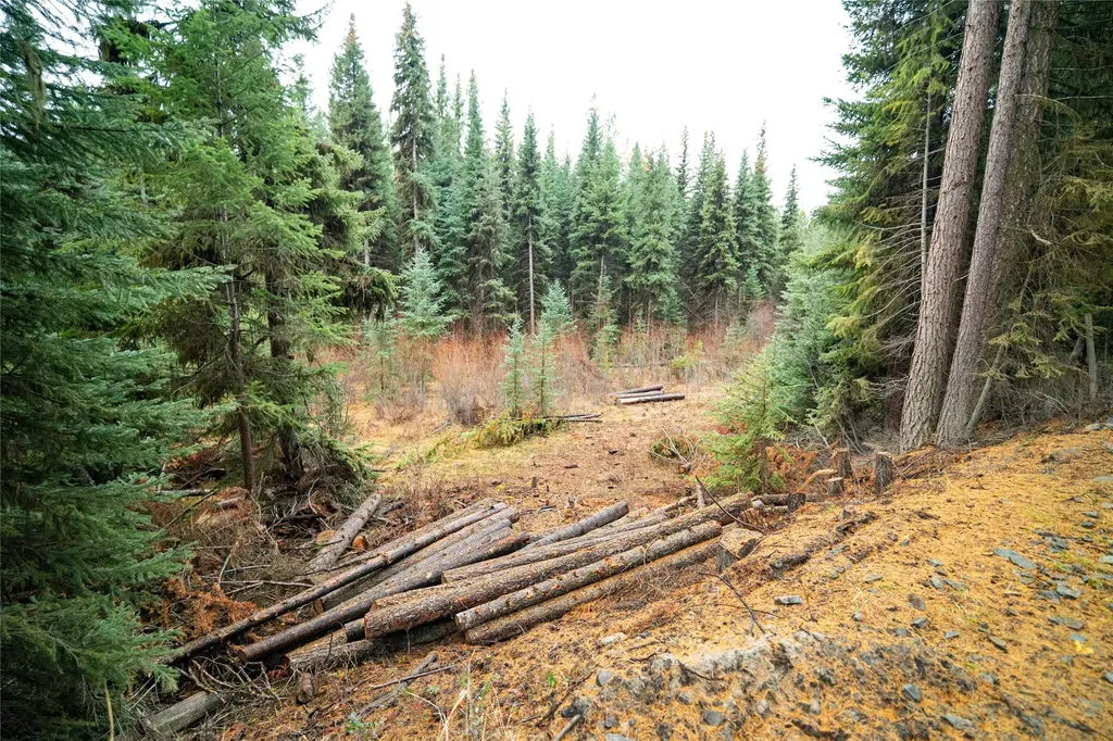 1875 Lower Lost Prairie Road Marion MT 59925