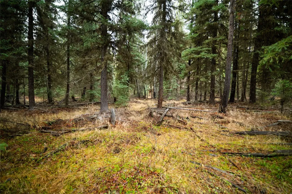 1875 Lower Lost Prairie Road Marion MT 59925