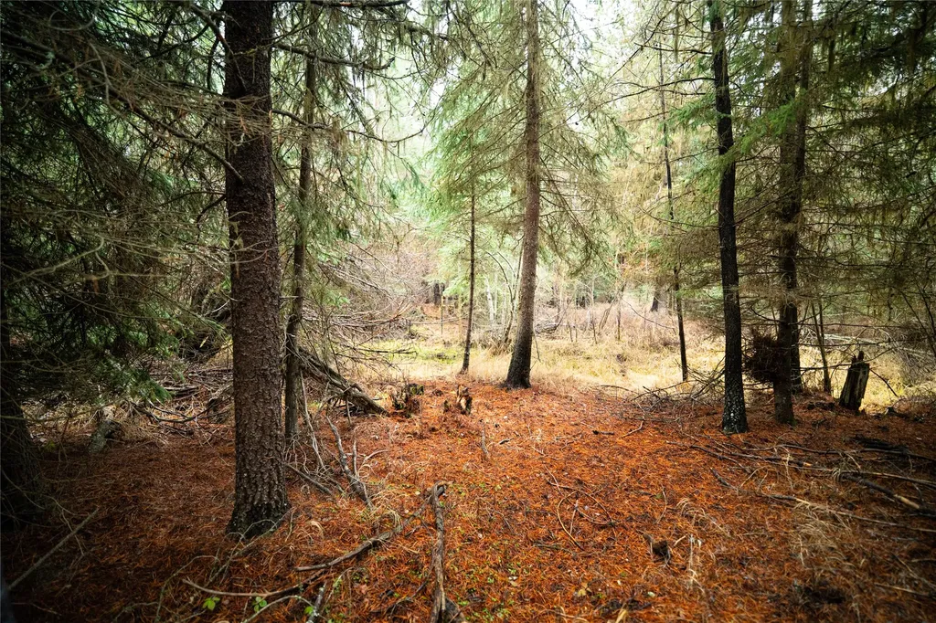 1875 Lower Lost Prairie Road Marion MT 59925