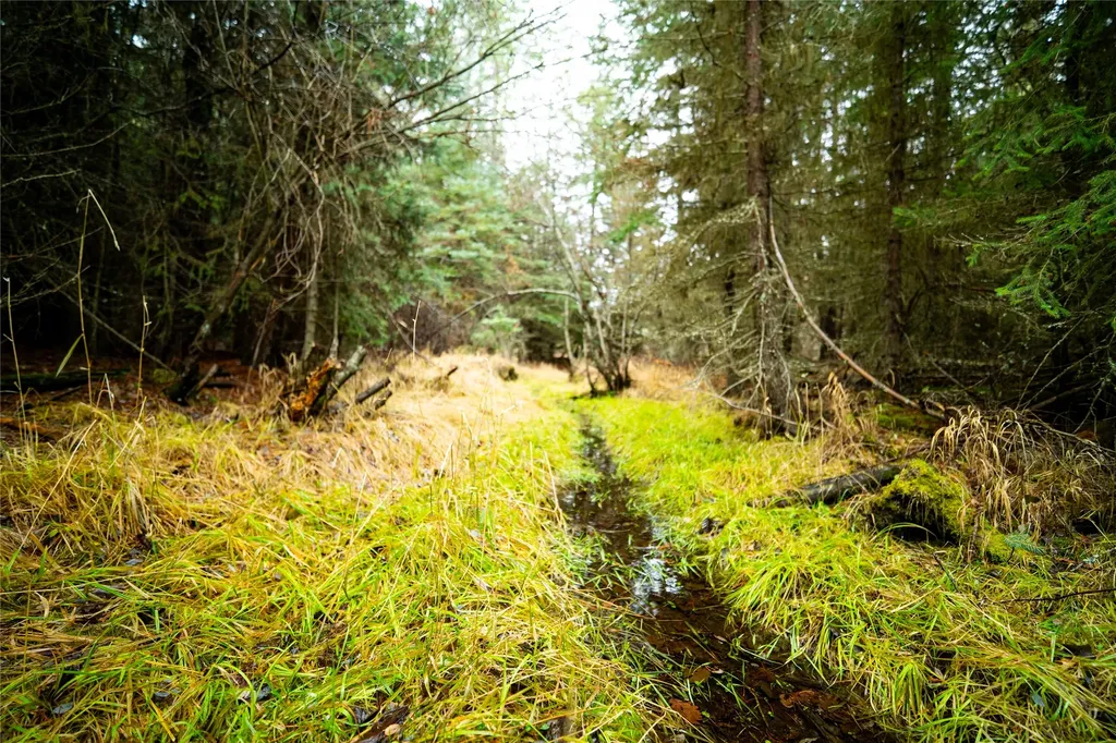 1875 Lower Lost Prairie Road Marion MT 59925