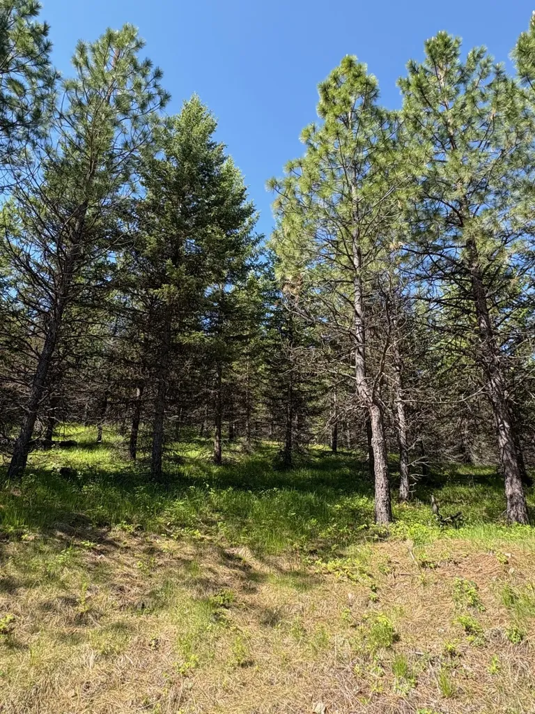 Lots 5 & 6 Panoramic View Drive Libby MT 59923