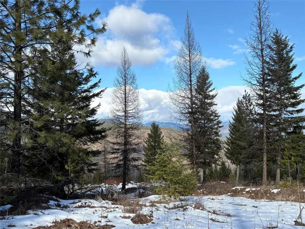 Lots 5 & 6 Panoramic View Drive Libby MT 59923