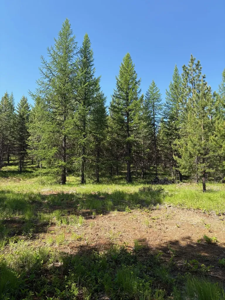 Lots 5 & 6 Panoramic View Drive Libby MT 59923