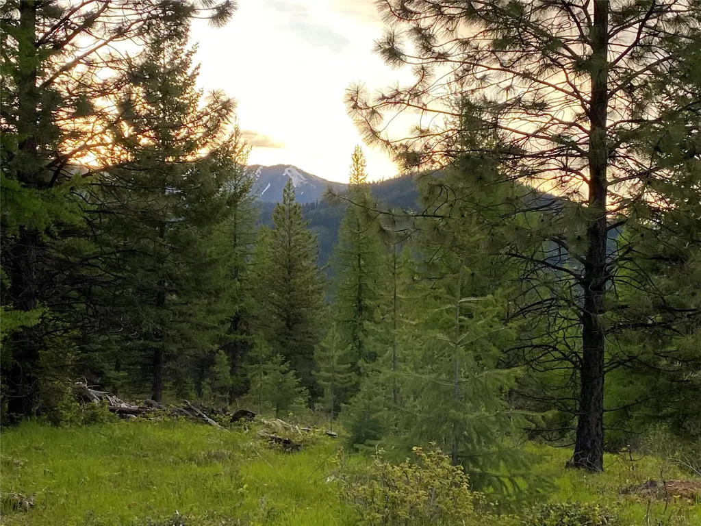 Lot 6 Panoramic View Drive Libby MT 59923