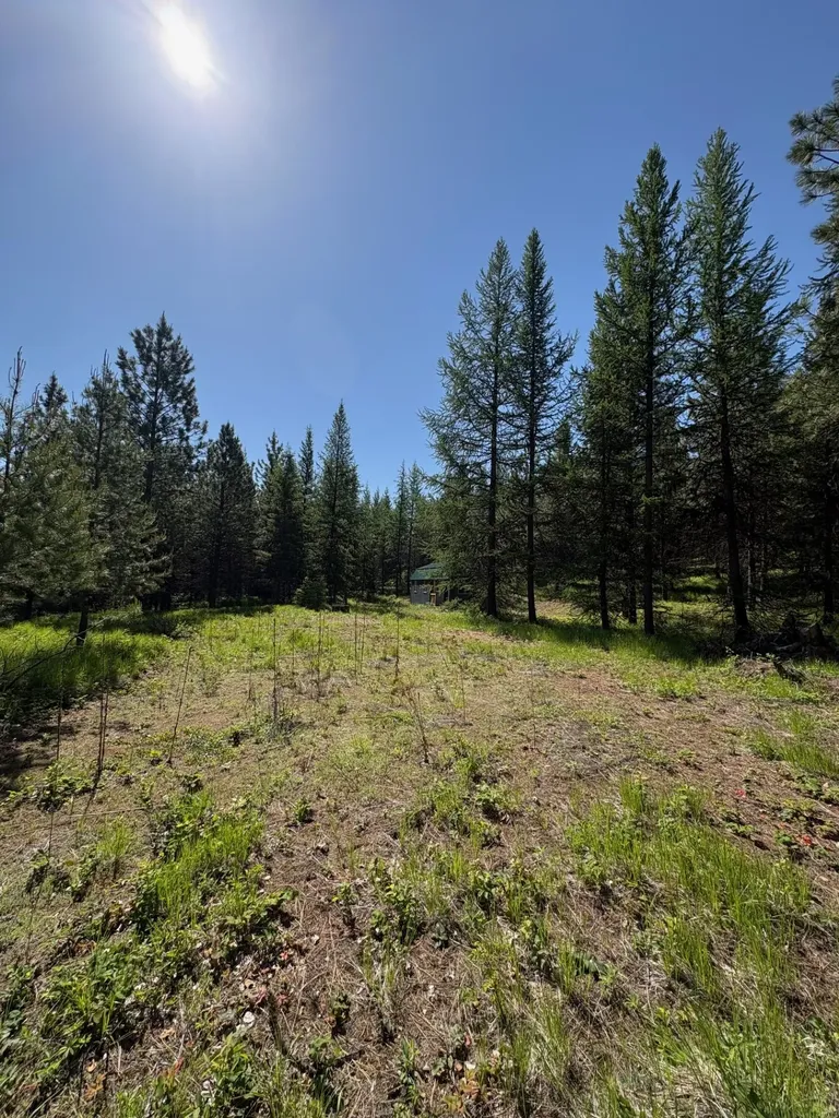 Lot 6 Panoramic View Drive Libby MT 59923
