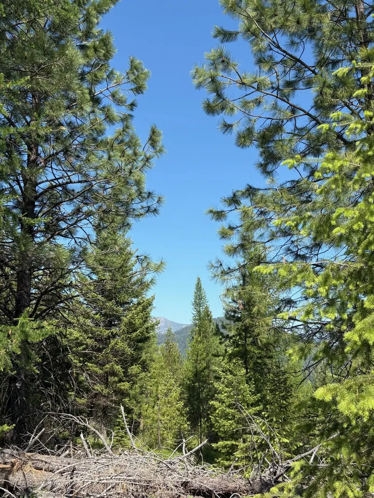 Lot 6 Panoramic View Drive Libby MT 59923