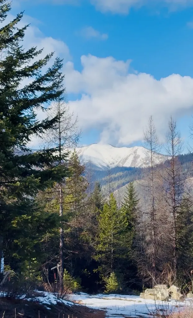Lot 6 Panoramic View Drive Libby MT 59923