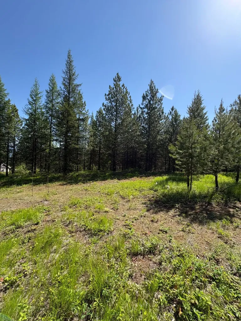 Lot 6 Panoramic View Drive Libby MT 59923