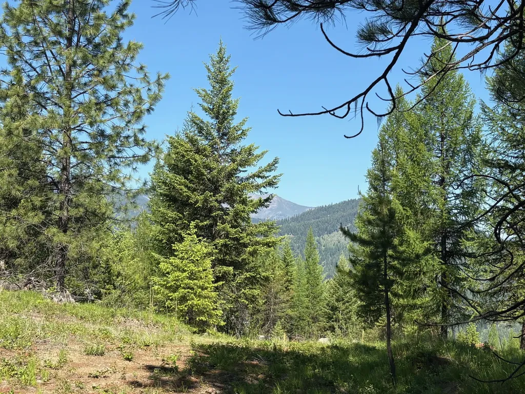 Lot 6 Panoramic View Drive Libby MT 59923