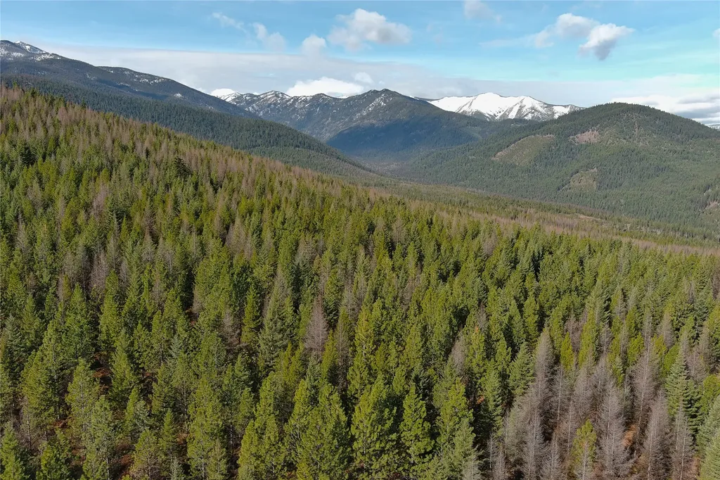 Lot 6 Panoramic View Drive Libby MT 59923