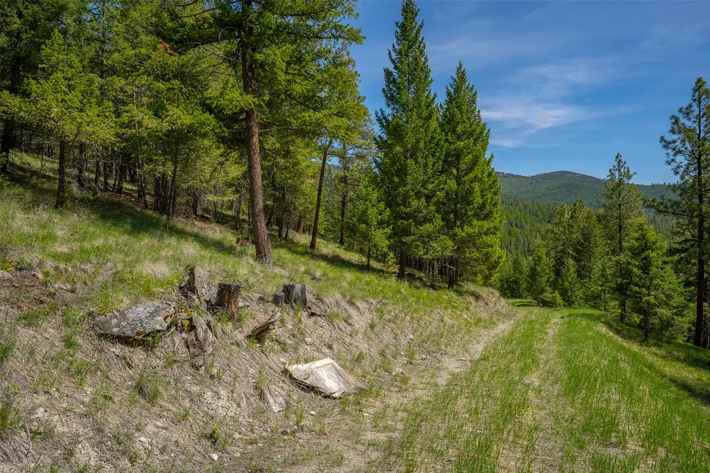 689 Springhill Road Kila MT 59920
