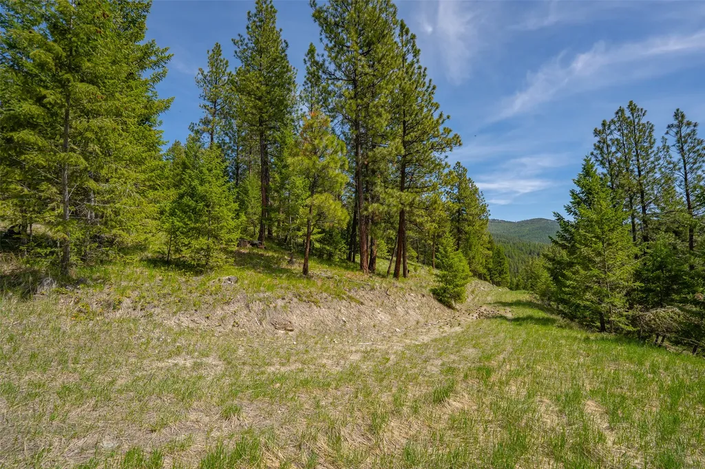 689 Springhill Road Kila MT 59920