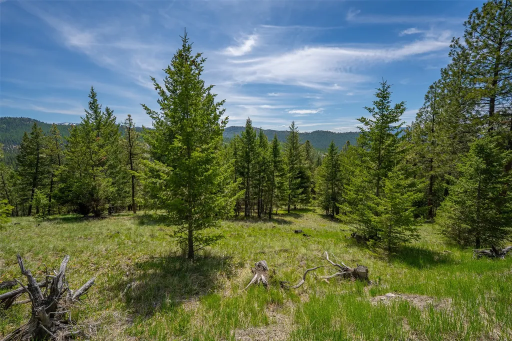 689 Springhill Road Kila MT 59920